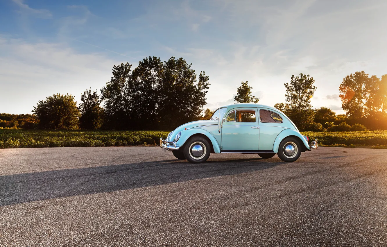 Фото обои volkswagen, Sky, beetle, Hrome