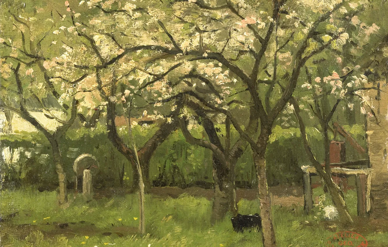 Фото обои масло, картина, 1903, Джордж Ян Хендрик Поггенбек, George Poggenbeek, Цветущее Дерево в Саду