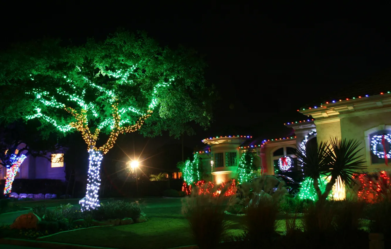Фото обои украшения, деревья, ночь, lights, огни, дом, green, red