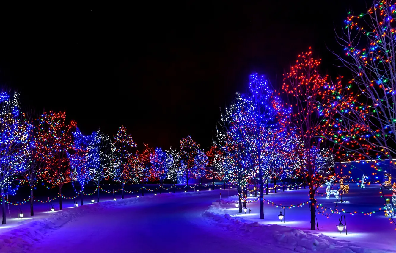 Фото обои зима, снег, украшения, деревья, ночь, lights, огни, праздник