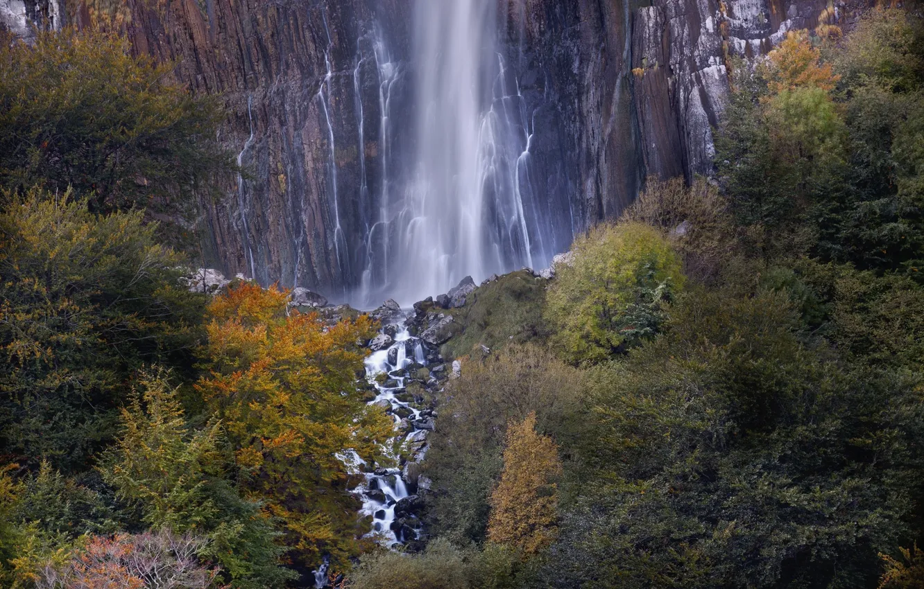 Фото обои осень, лес, деревья, гора, водопад
