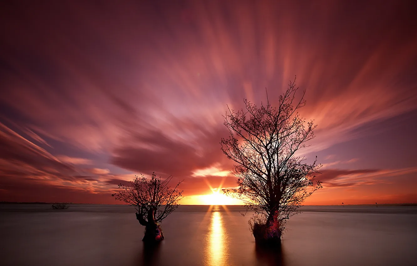 Фото обои море, деревья, пейзаж, закат
