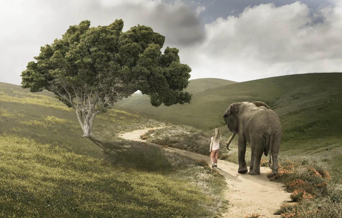 Фото обои дорога, слон, девочка