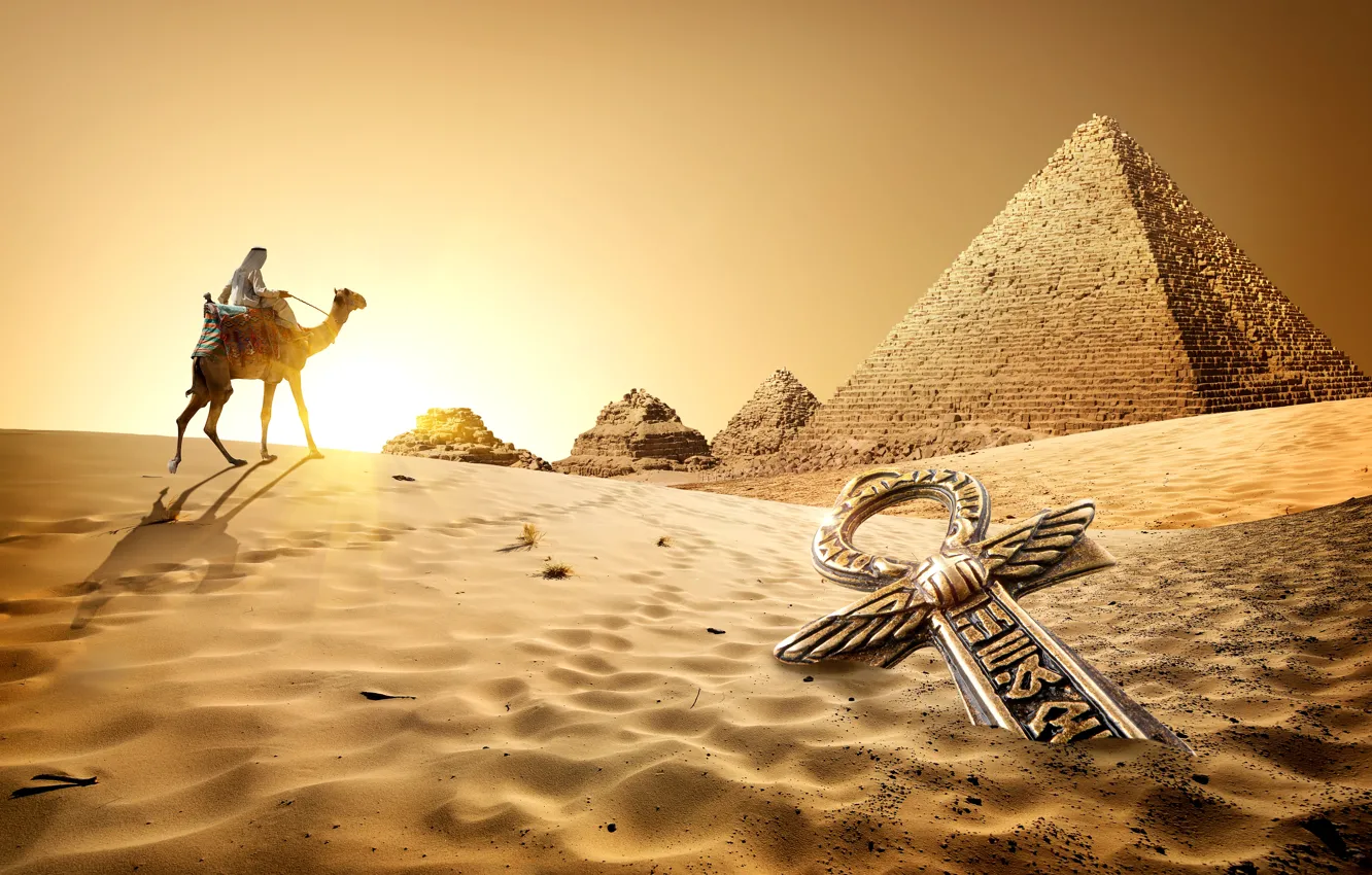 Фото обои Песок, Египет, Верблюды, Cairo, Пустыни, Рассветы и Закаты