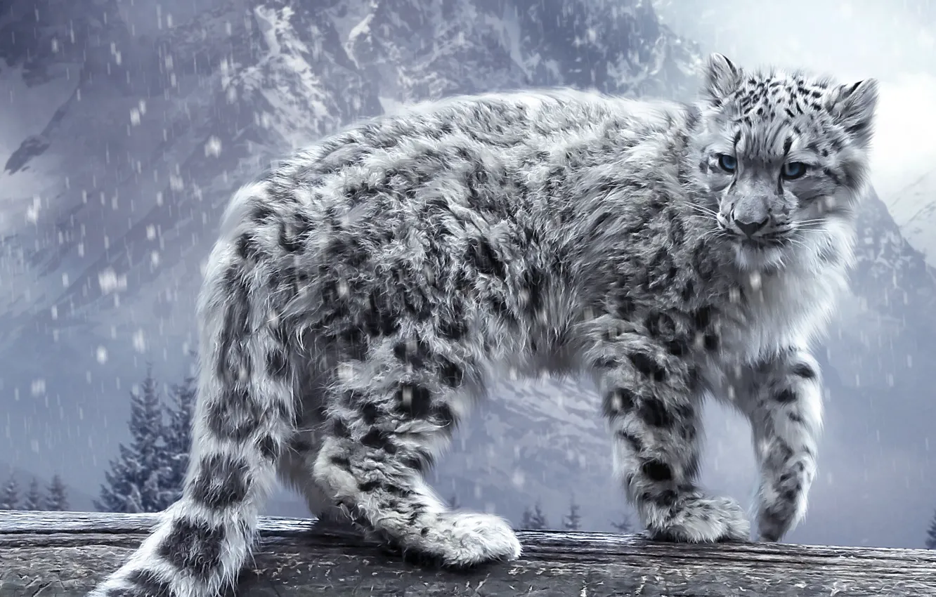 Фото обои кошка, снег, горы, леопард, ирбис, бревно, барс