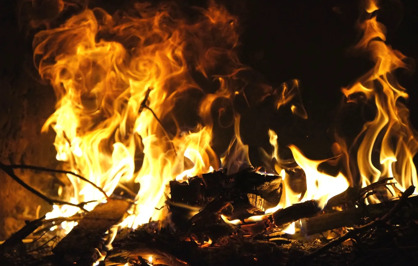 Фото обои ветки, огонь, пламя, костер