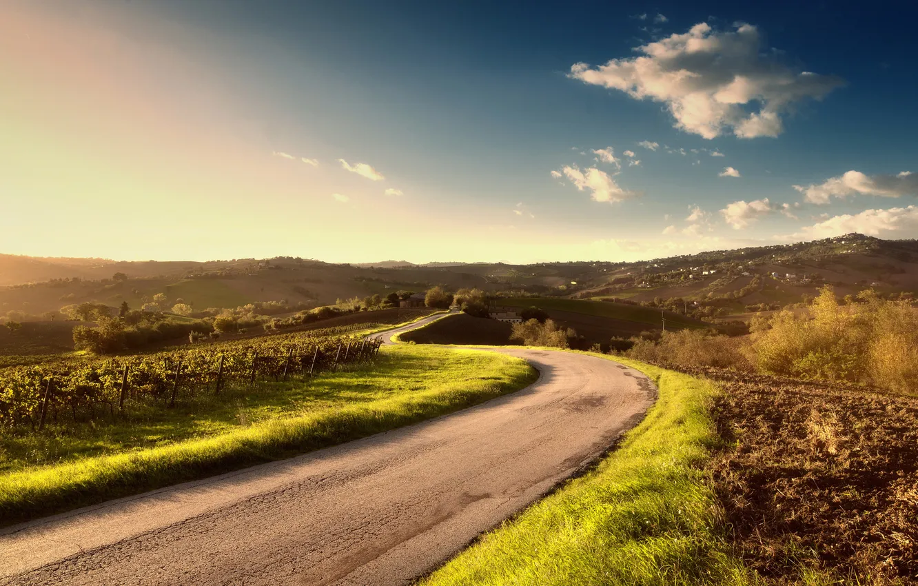 Фото обои дорога, лето, пейзаж