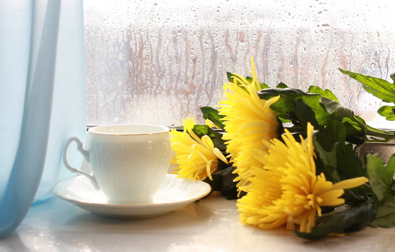 Фото обои цветы, окно, чашка