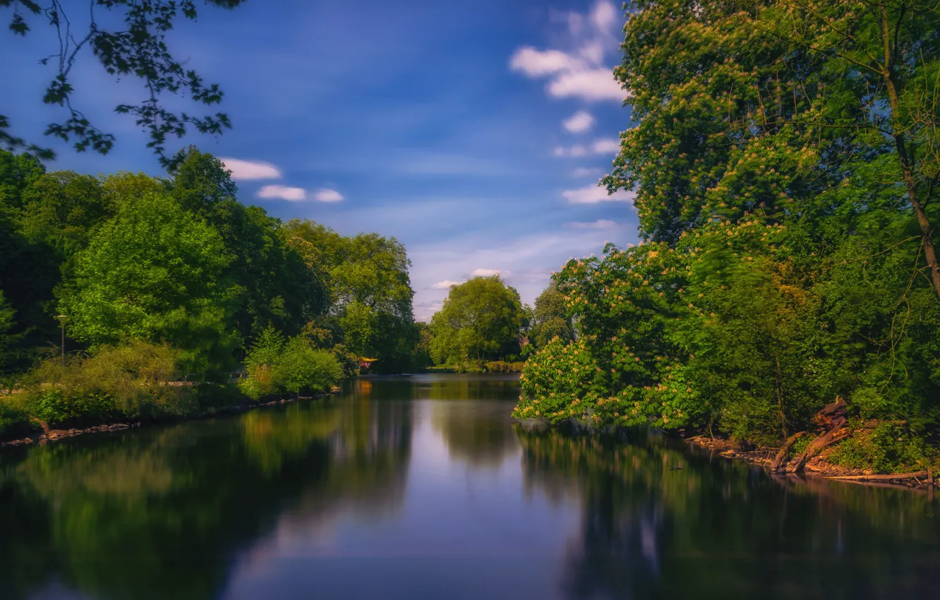 Фото обои лето, деревья, река, Германия, Dortmund, Romberg Park