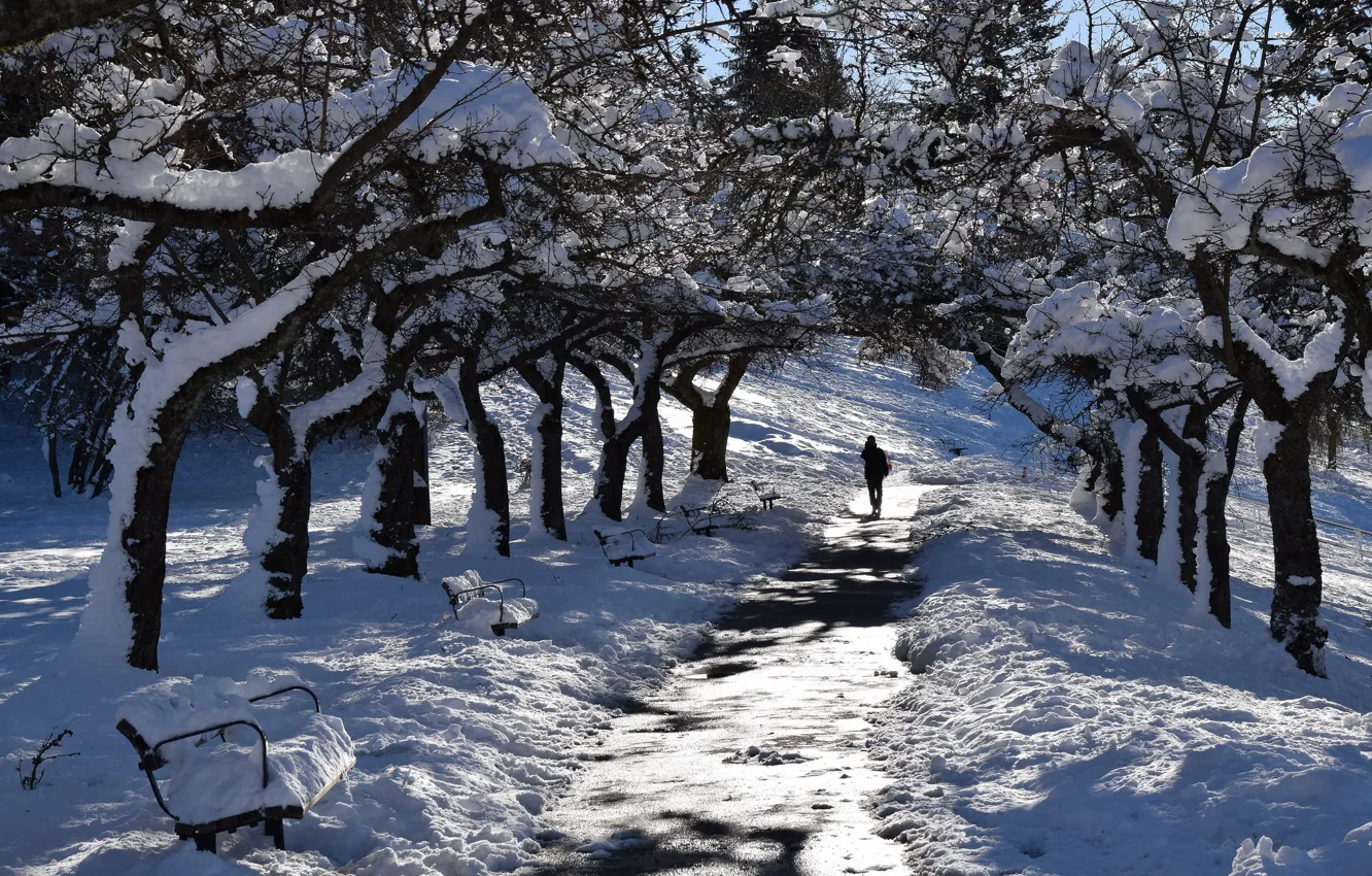 Фото обои зима, снег, улица