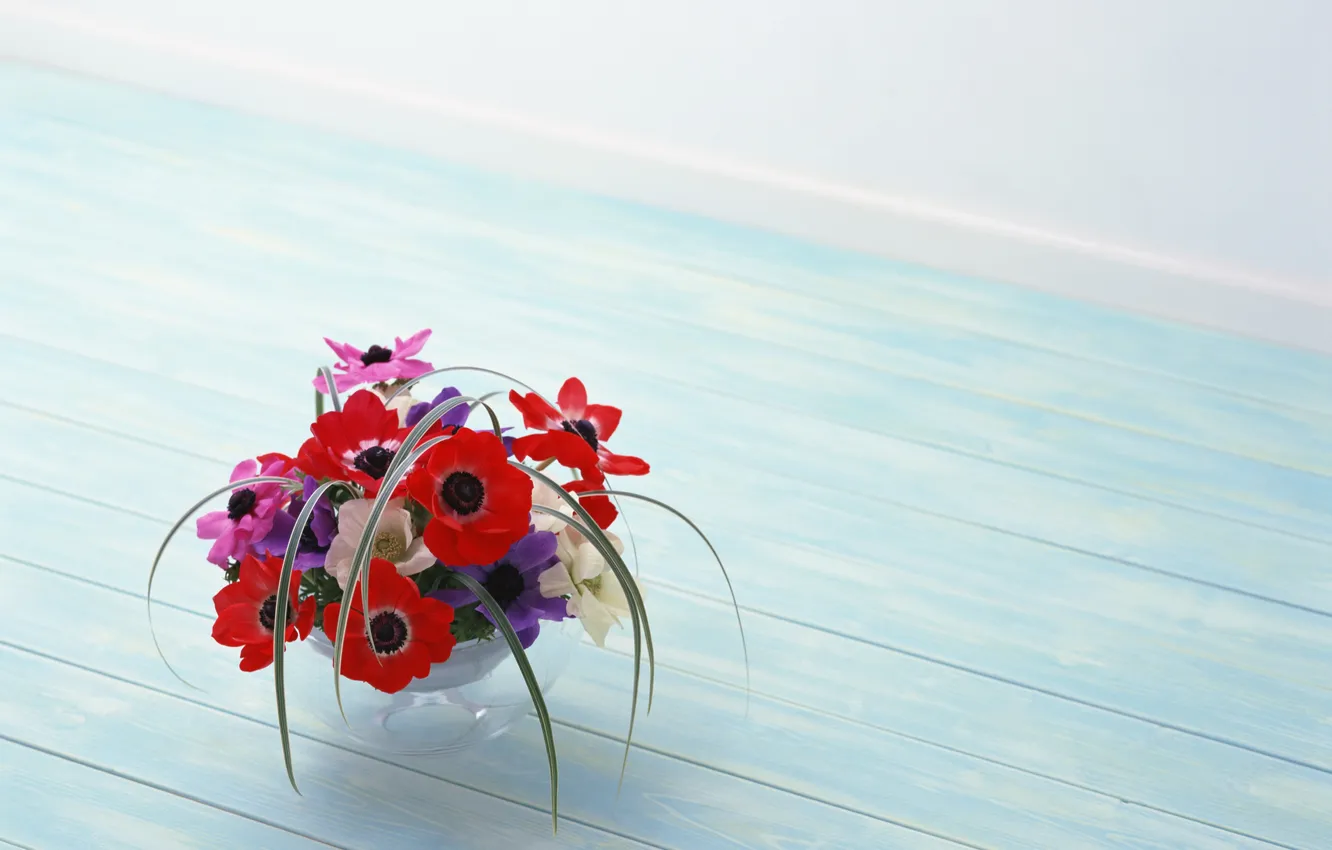 Фото обои цветы, красота, red, flowers, композиция