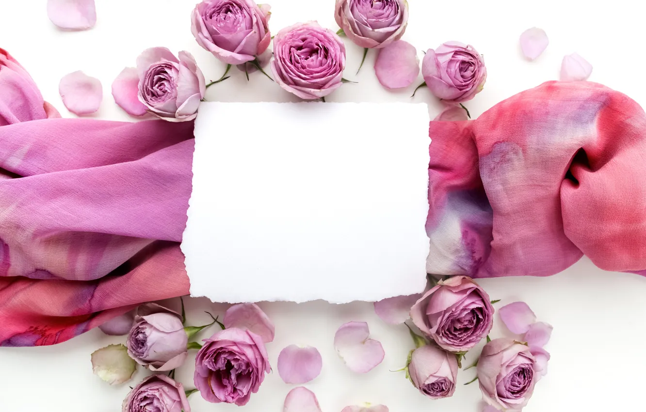 Фото обои розы, бутоны, pink, flowers, romantic, roses