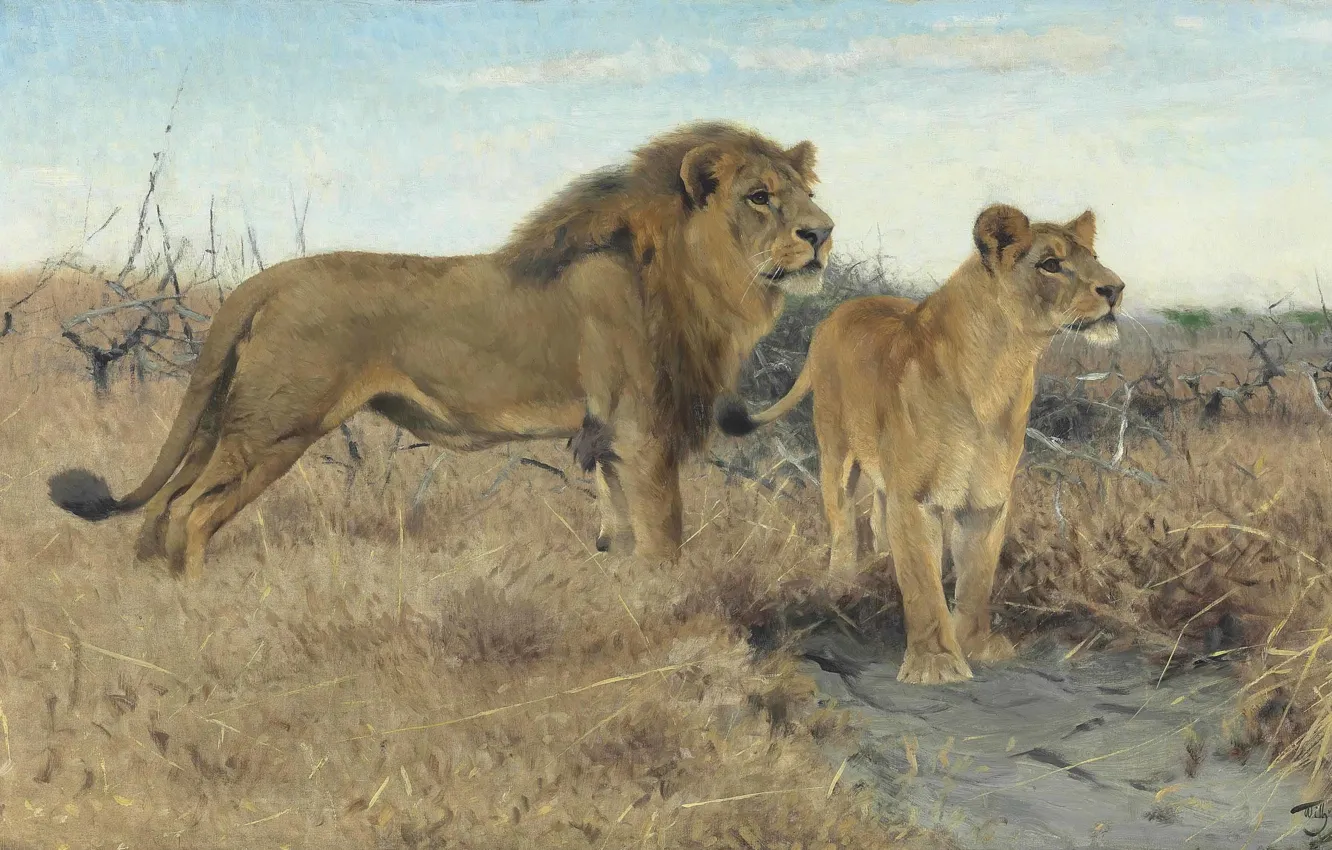 Фото обои 1922, German painter, Фридрих Вильгельм Кунерт, немецкий живописец, Friedrich Wilhelm Kuhnert, Львы на равнинах Африки, …
