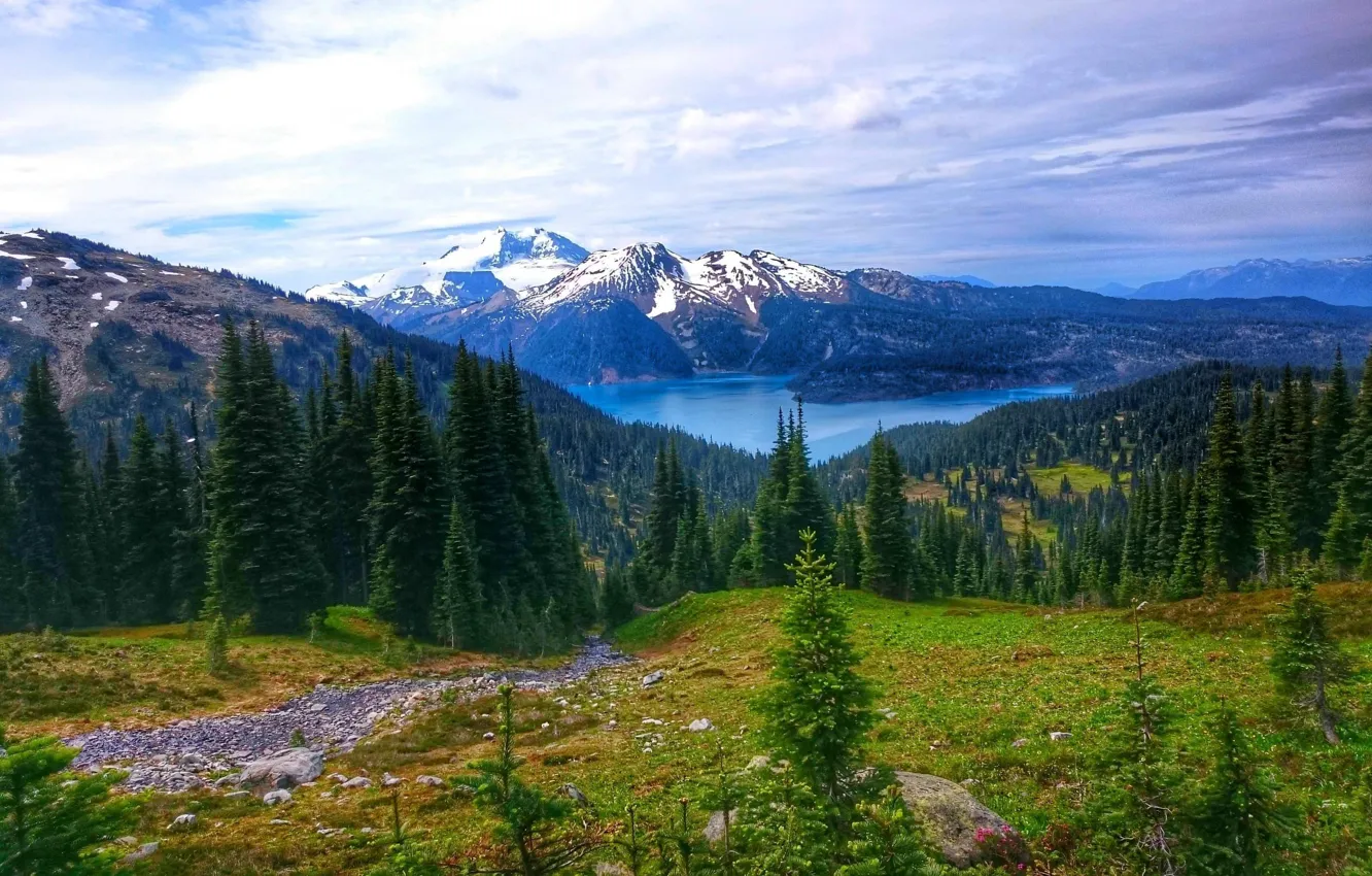 Фото обои forest, view, mountain, lake, Garibaldi Lake, peak