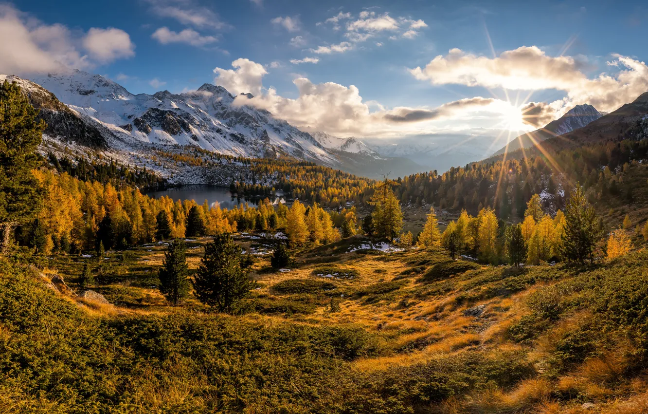 Фото обои осень, лес, горы, Швейцария, долина, Альпы, Switzerland, Alps