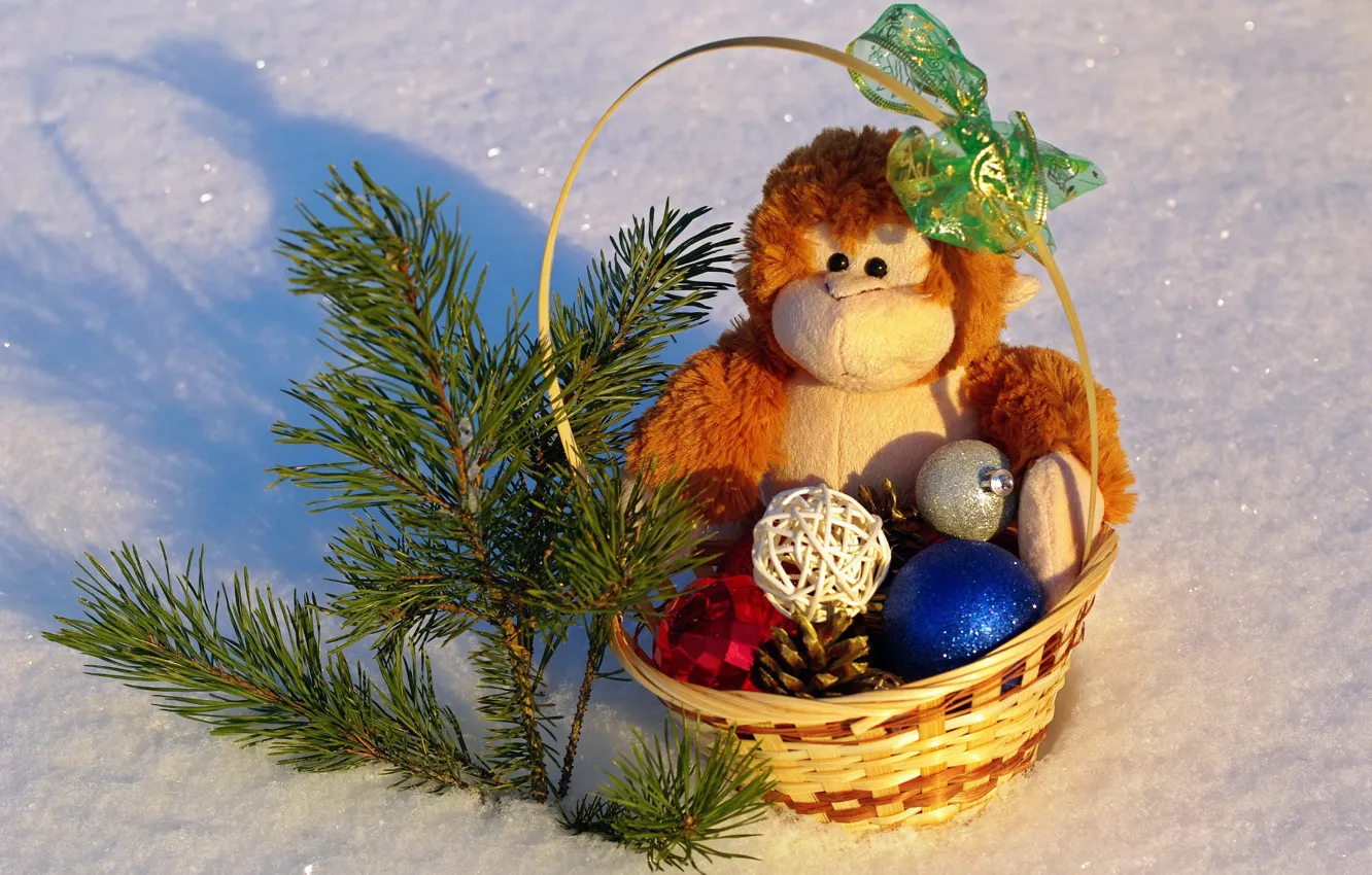 Фото обои зима, снег, цветы, настроение, праздник, игрушки, новый год, позитив
