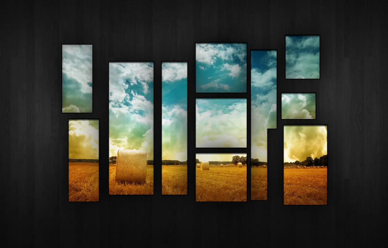 Фото обои пшеница, поле, небо, дерево, сбор, урожая