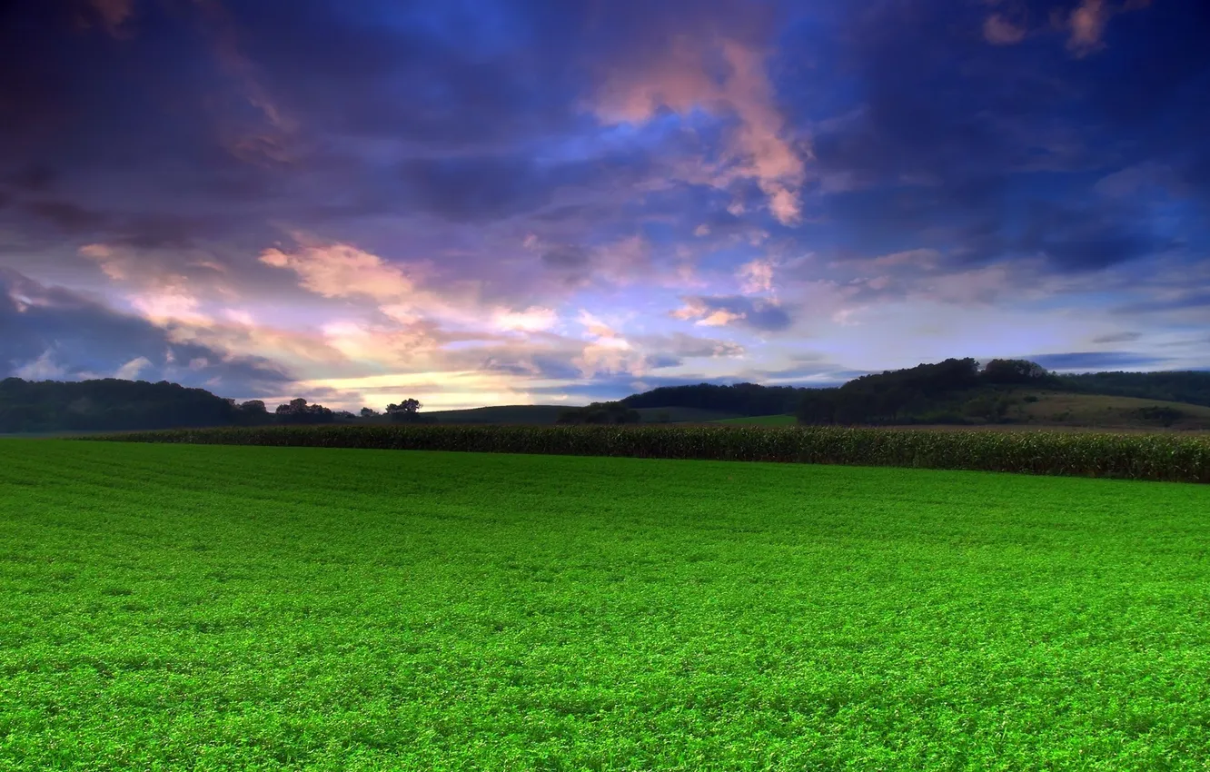 Фото обои поле, небо, трава, природа, фото, пейзажи, зелёный