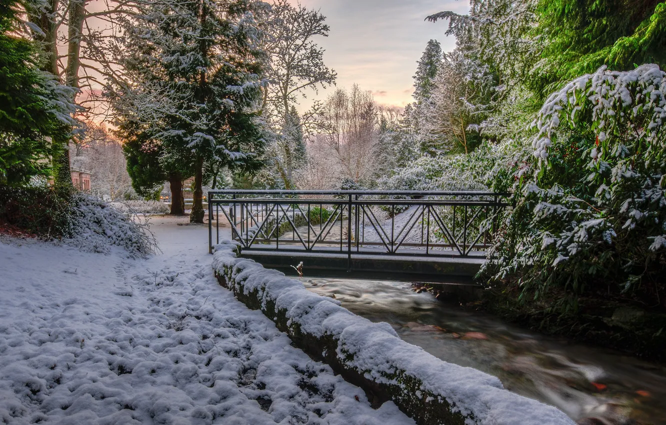 Фото обои зима, снег, деревья, мост