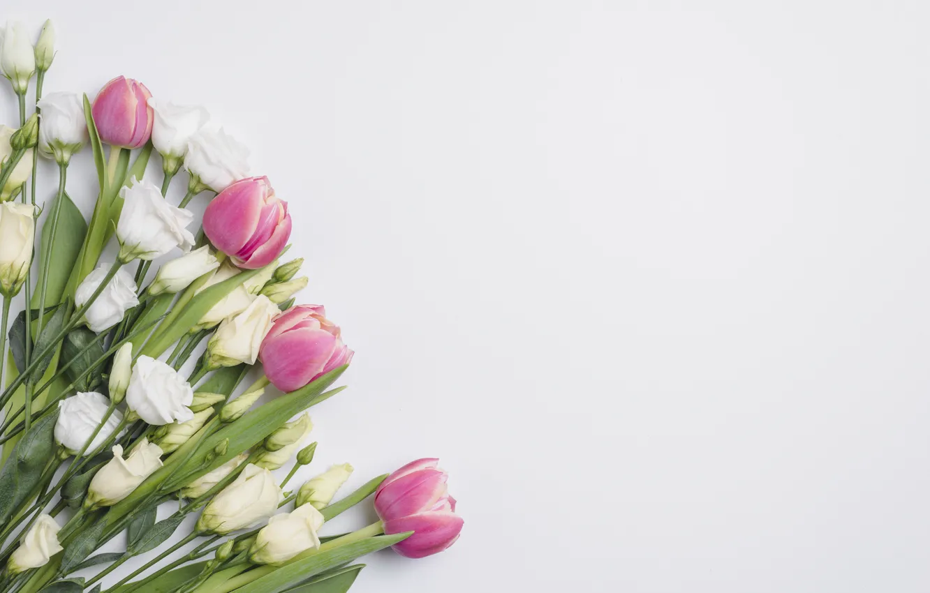 Фото обои цветы, букет, тюльпаны, эустома