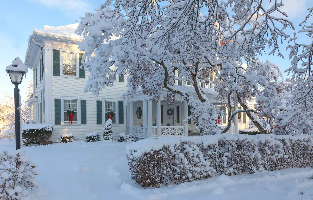 Фото обои зима, деревья, дом, улица, особняк, Нью-Джерси, Антонина Яновска
