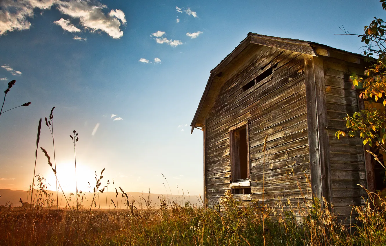 Фото обои grass, sunrise, old house