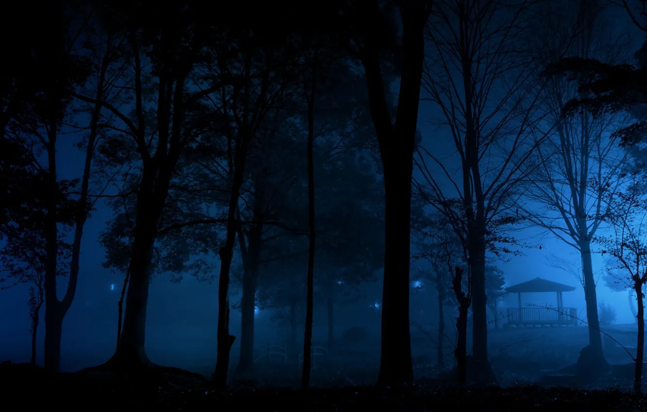 Фото обои деревья, ночь, мост, природа, темно, беседка