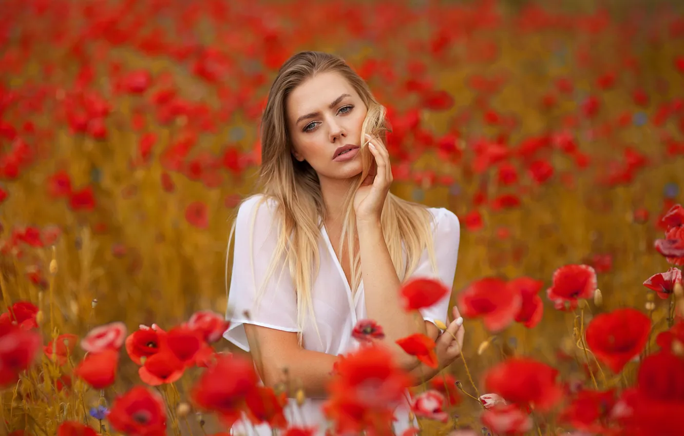 Фото обои поле, взгляд, девушка, цветы, лицо, настроение, маки, Anna Rawka
