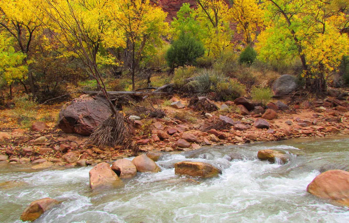 Фото обои осень, деревья, река, камни, поток