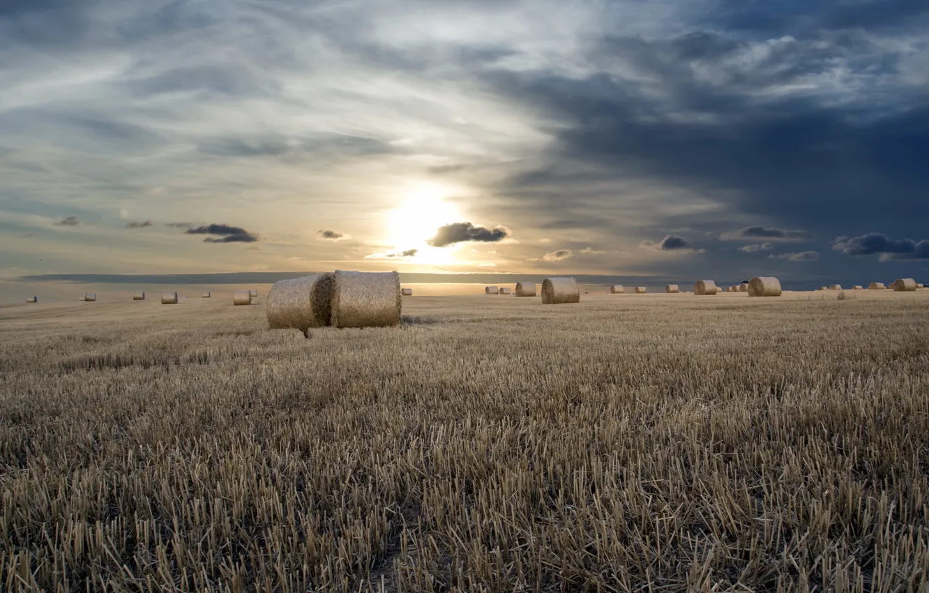 Фото обои поле, лето, закат, сено