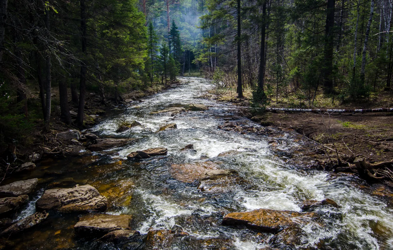 Фото обои river, trees, nature, wood, water, rocks, stones, Daniil Silantev