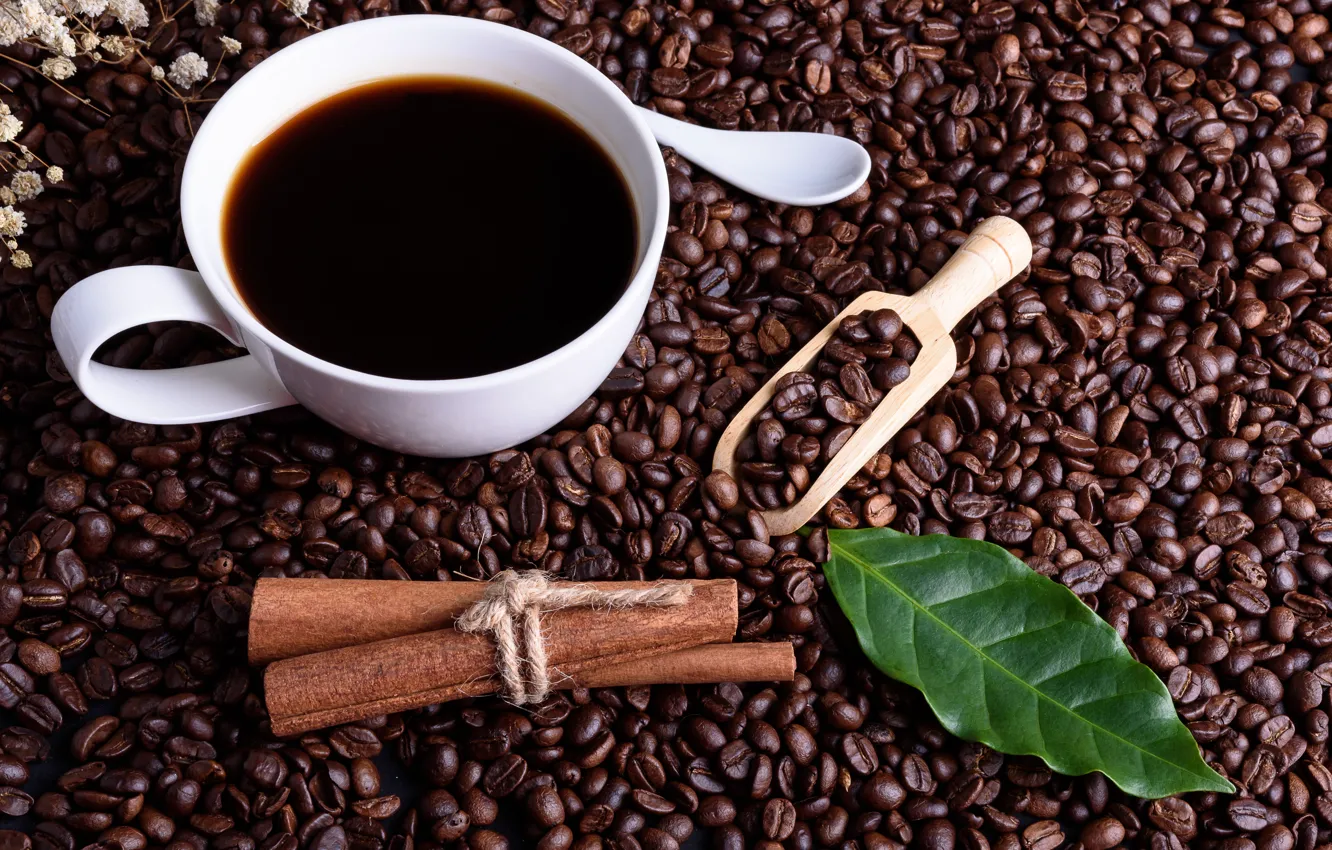 Фото обои Лист, Кофе, кофейные зерна, лопатка