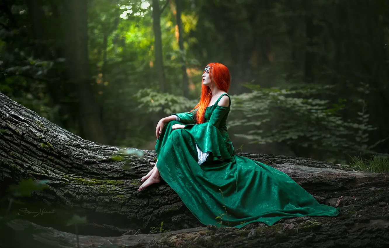 Фото обои лес, девушка, природа, поза, дерево, волосы, рыжая, Виктория Вижанская