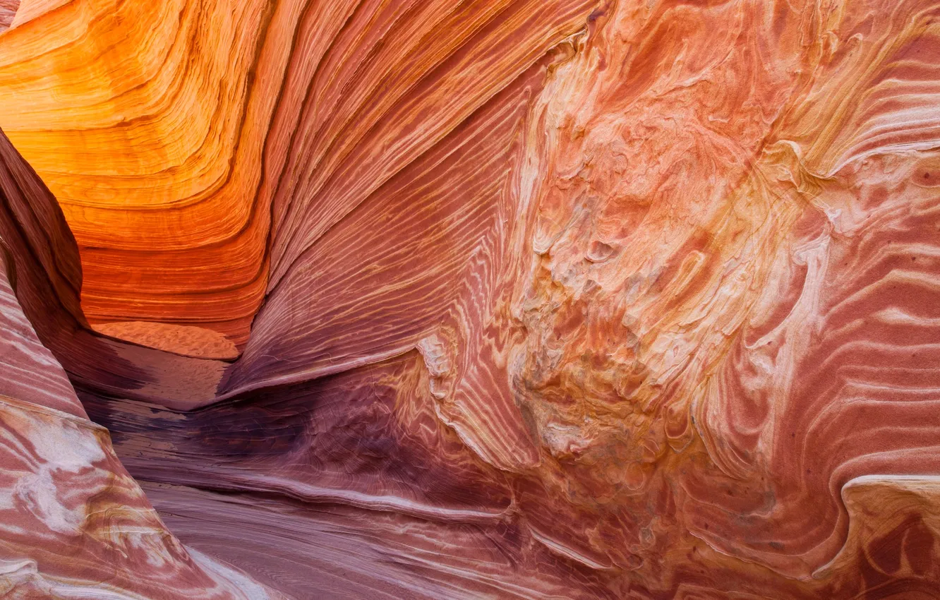 Фото обои краски, каньон, Аризона, ущелье, США, North Coyote Buttes