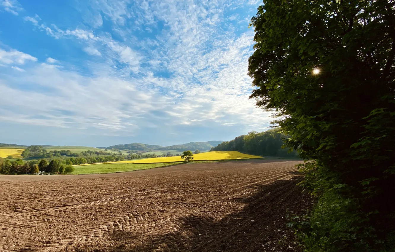 Фото обои Clouds, Sky, Wood, Germany, Summer, Sunshine, Field, Trees