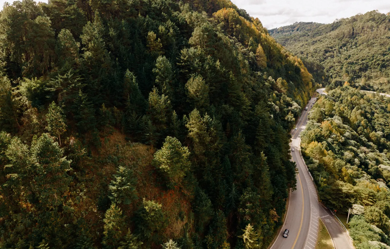 Фото обои деревья, горы, шоссе, леса, cars, trees, mountains, forests