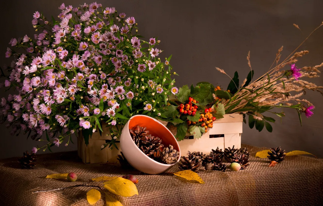 Фото обои трава, листья, цветы, ягоды, ветка, ткань, миска, натюрморт