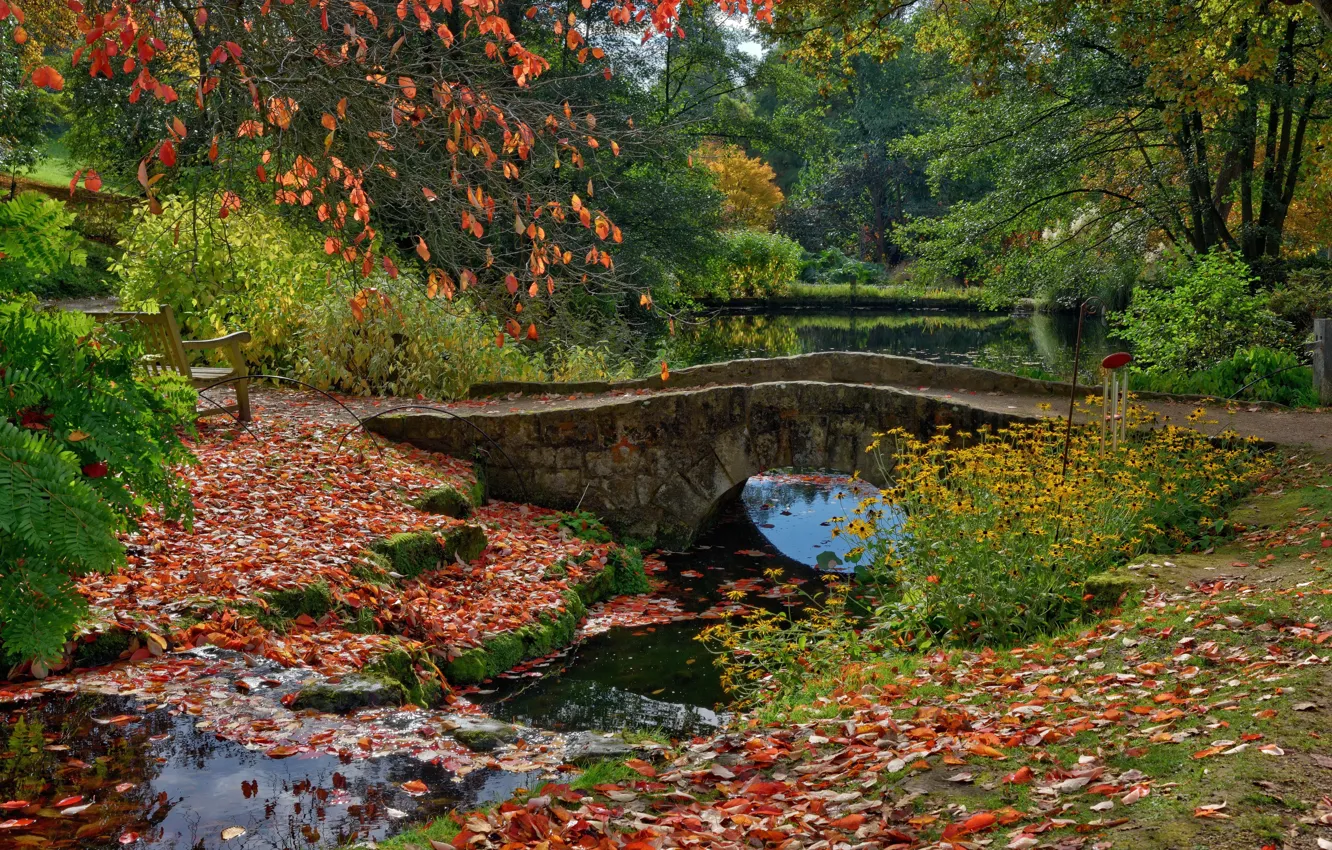 Фото обои листья, деревья, скамейка, мост, пруд, парк, Англия, Ardingly