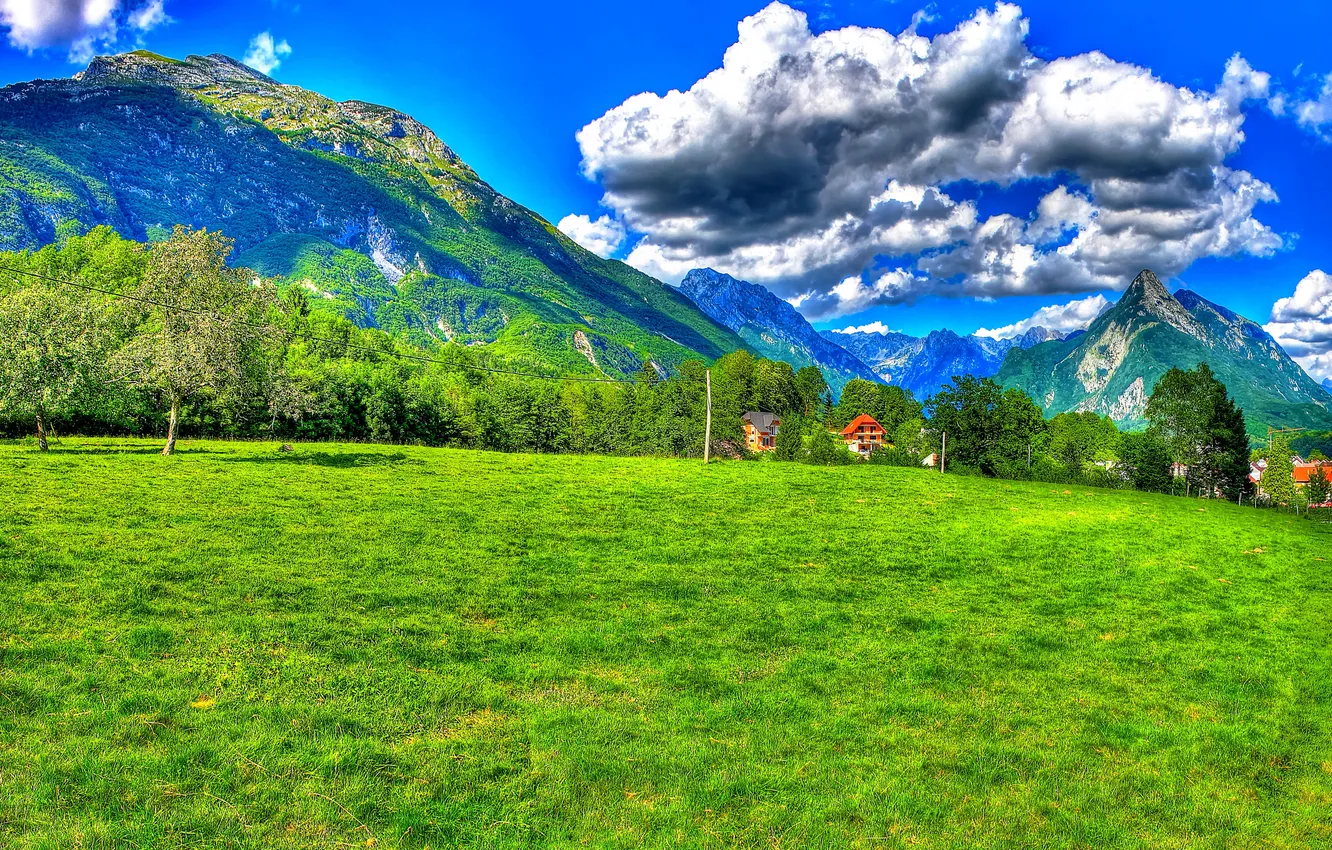 Фото обои поле, небо, трава, солнце, облака, деревья, горы, HDR