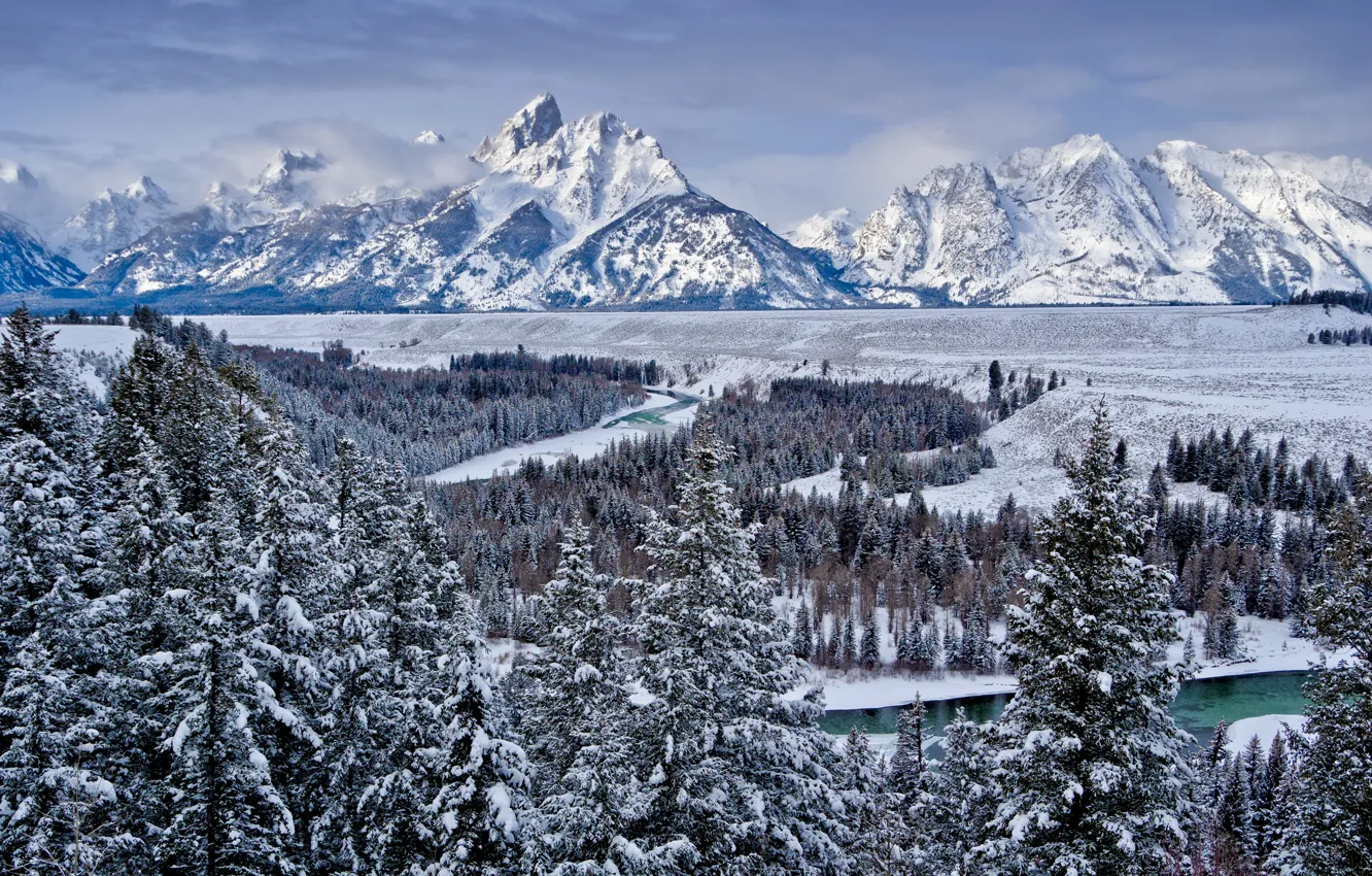 Фото обои зима, лес, небо, снег, деревья, горы, природа, река