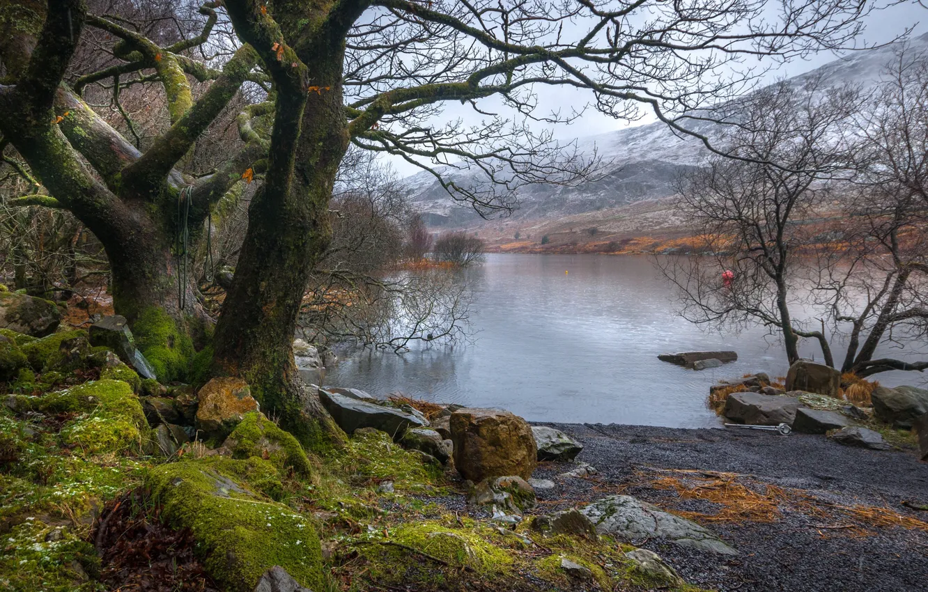 Фото обои деревья, пейзаж, горы, озеро, камни, Уэльс