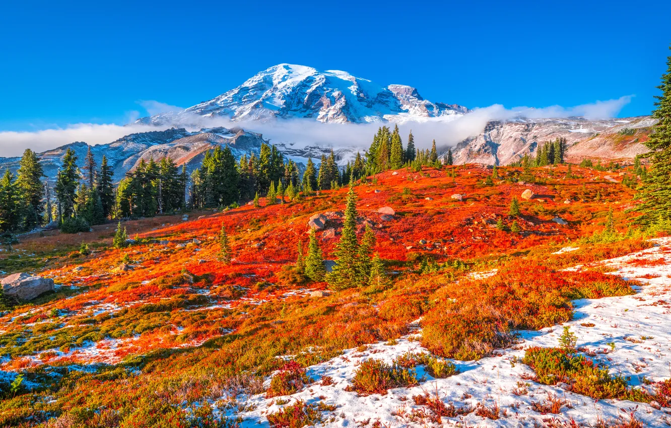 Фото обои Горы, Осень, США, Пейзаж, Mount Rainier National Park