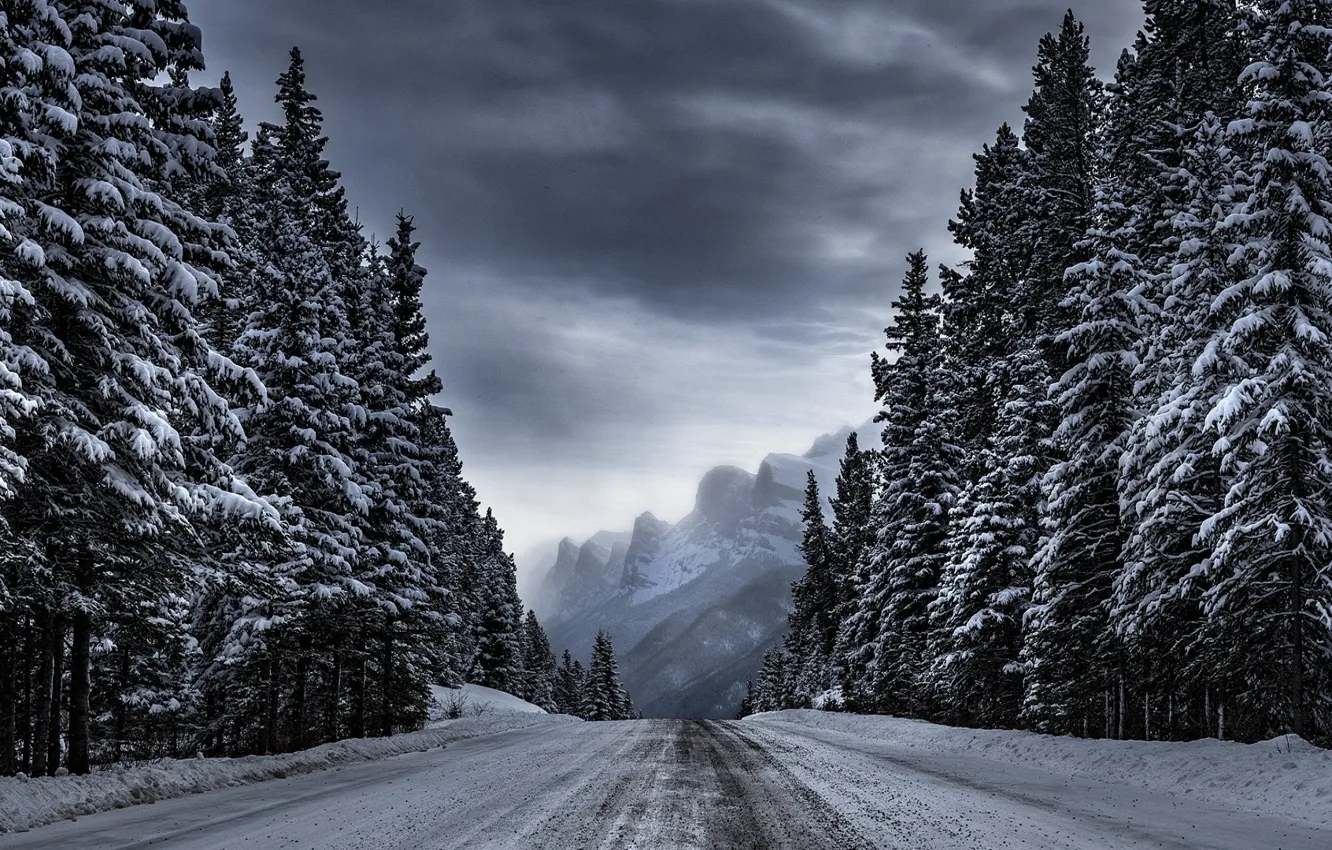 Фото обои зима, дорога, лес, деревья, горы, Timothy Poulton
