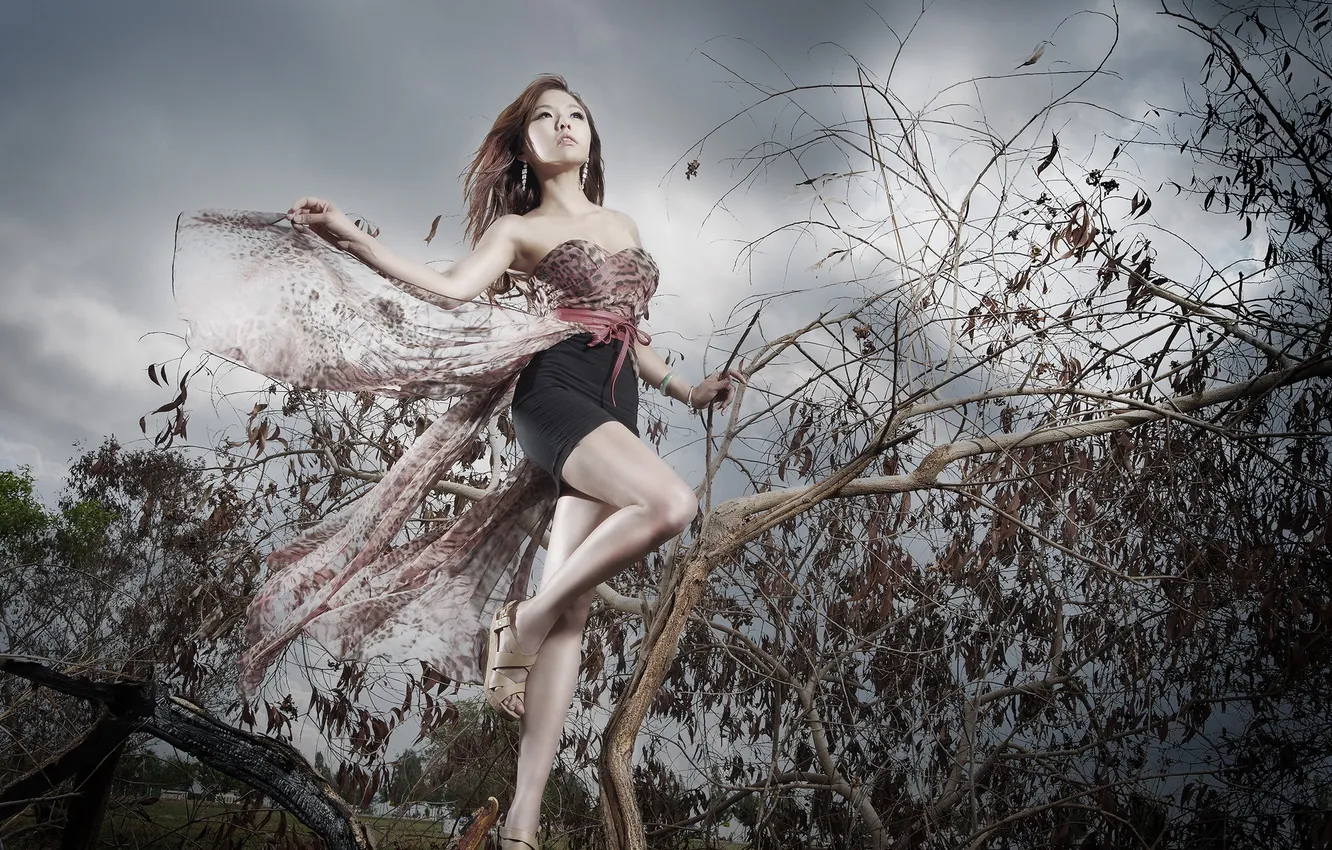 Фото обои девушка, поза, азиатка