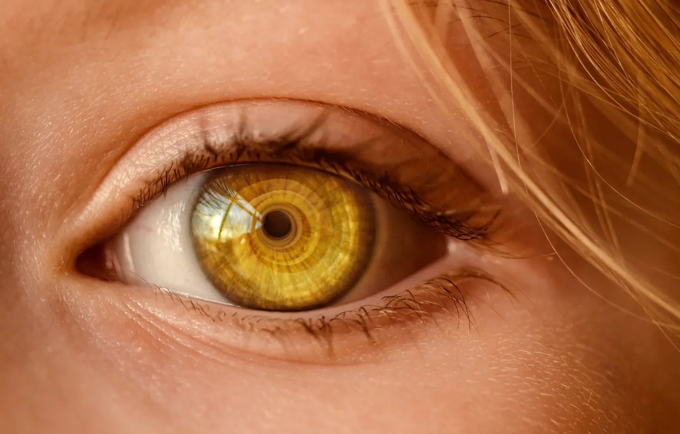 Фото обои взгляд, макро, крупный план, close-up, macro, look, светлые волосы, веки