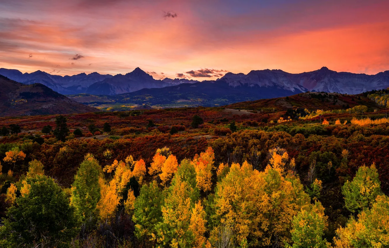 Фото обои осень, лес, деревья, закат, горы, холмы, вечер, ярко