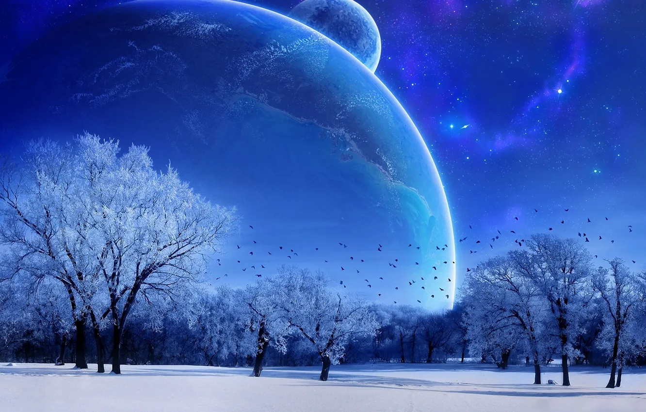 Фото обои зима, небо, деревья, голубой, луна