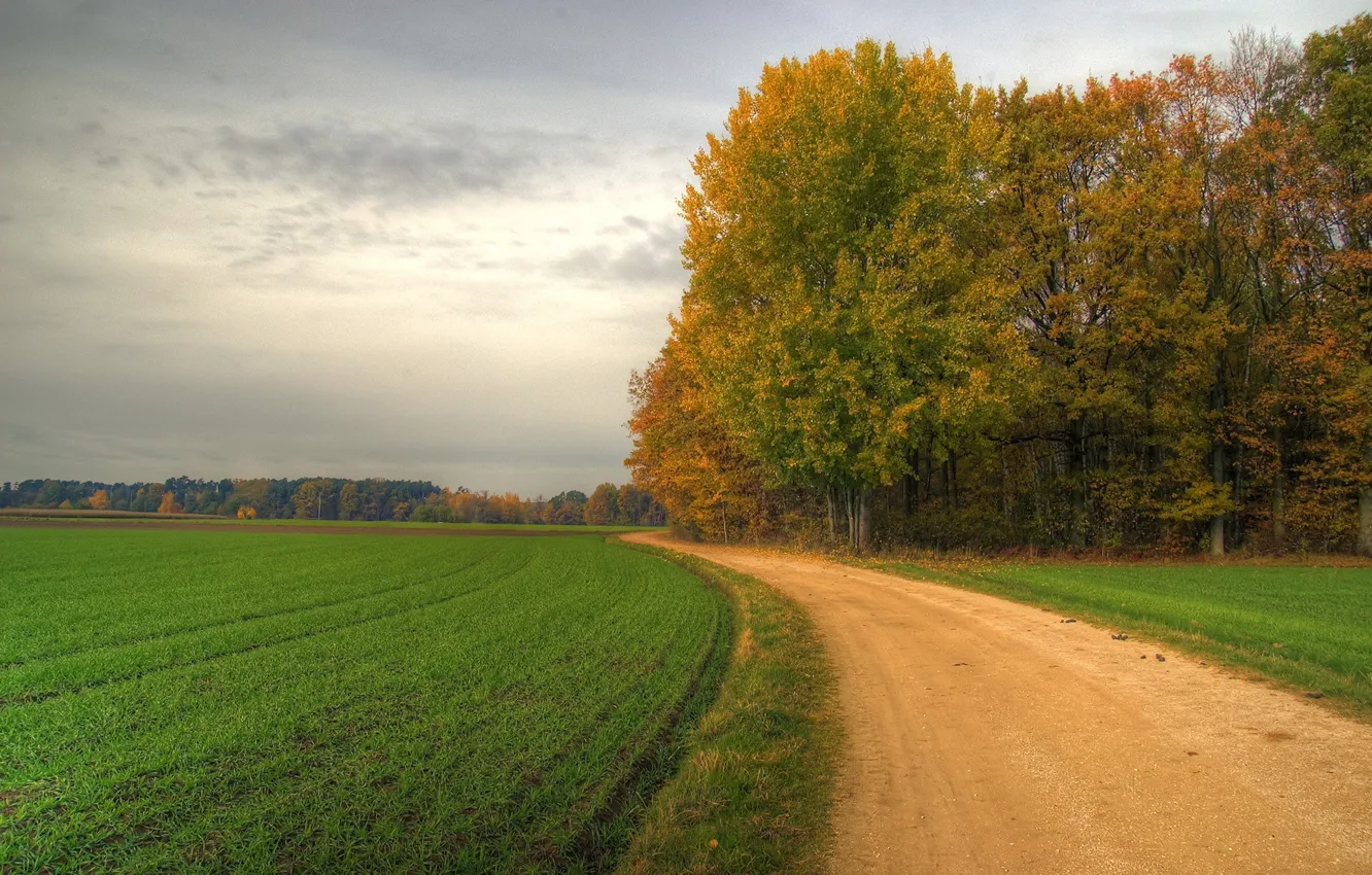 Фото обои дорога, поле, деревья, поворот, 152