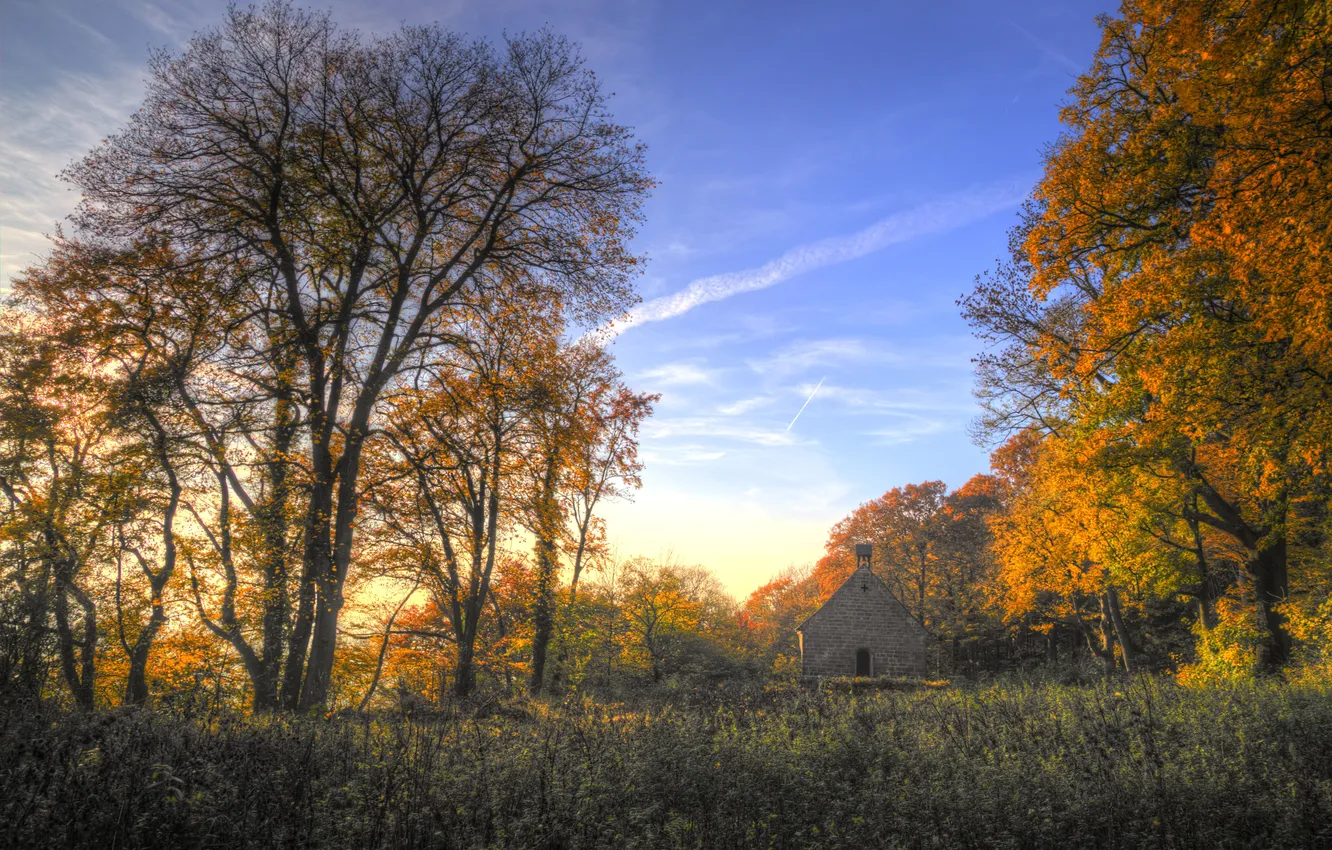 Фото обои осень, лес, небо, облака, деревья, церковь, солнечный свет