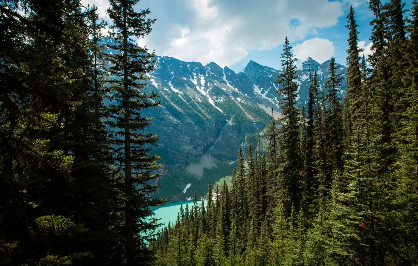 Фото обои лес, горы, озеро